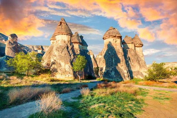 Explore Tours & Book Unique Travel Experiences & Adventures